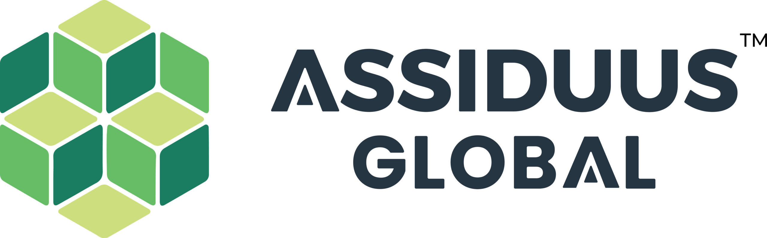 rsz_11assiduus_logo_-_high_res (1)