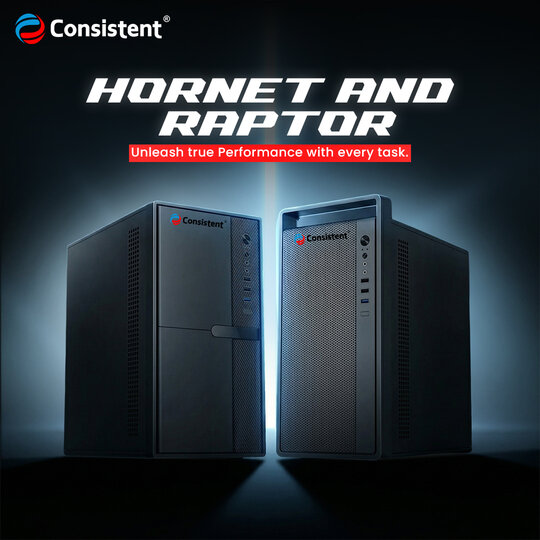 rsz_1consistent_infosystems_hornet_and_raptor